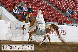 13buck_5647 proof