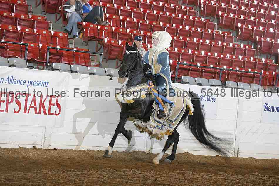 Proof 13buck_5648