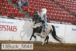 13buck_5648 proof