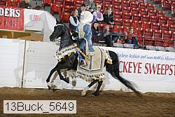13buck_5649 proof