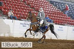 13buck_5651 proof