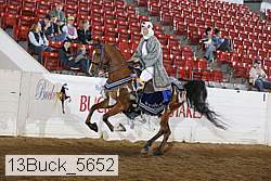 13buck_5652 proof