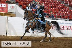 13buck_5659 proof