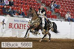 13buck_5660 proof