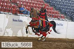 13buck_5668 proof