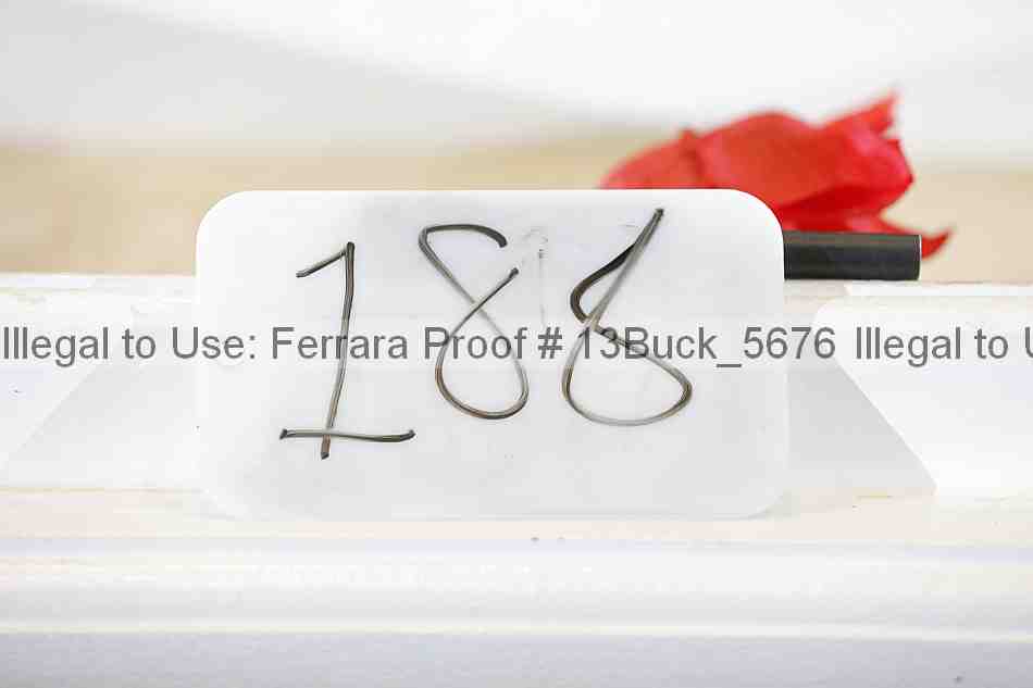 Proof 13buck_5676