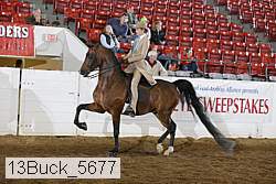 13buck_5677 proof