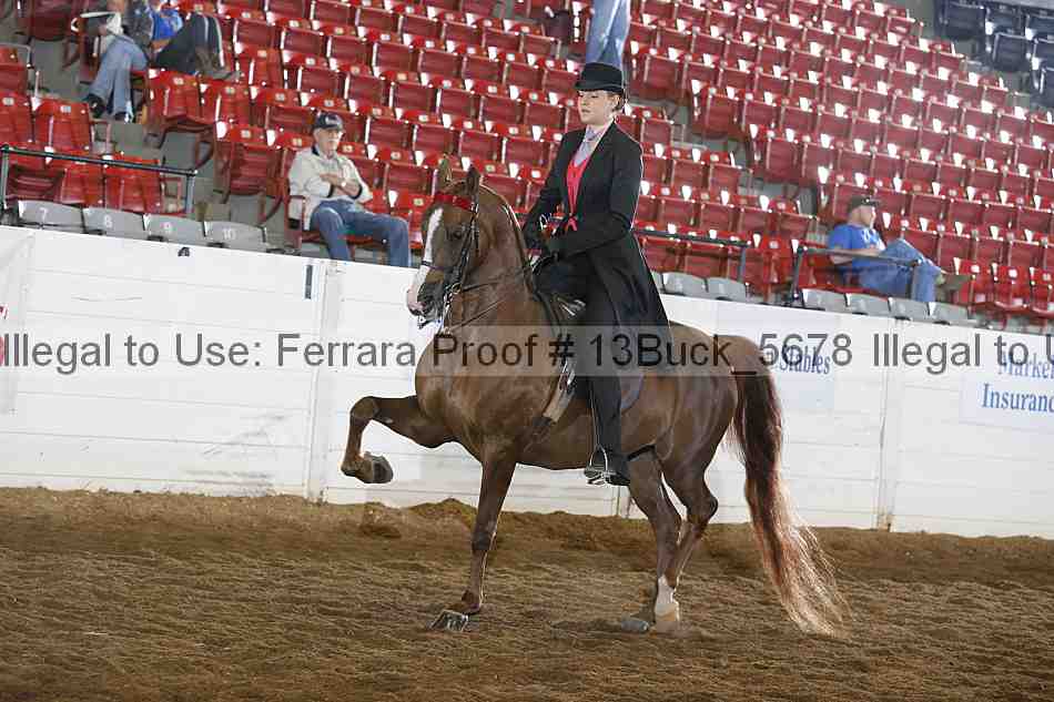 Proof 13buck_5678