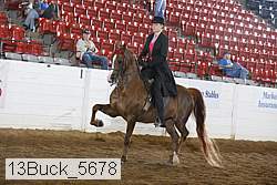 13buck_5678 proof