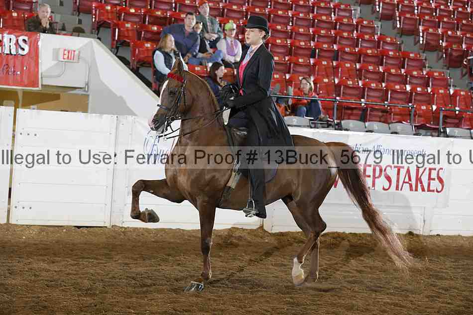 Proof 13buck_5679