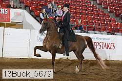 13buck_5679 proof