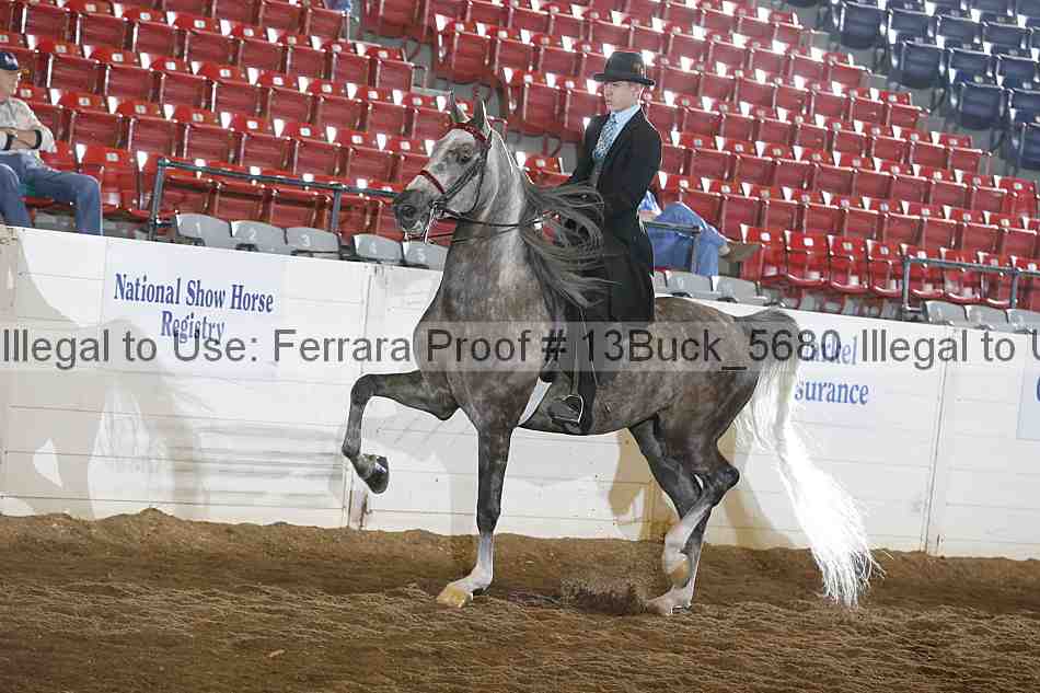 Proof 13buck_5680