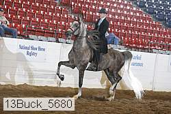 13buck_5680 proof