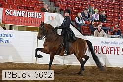 13buck_5682 proof