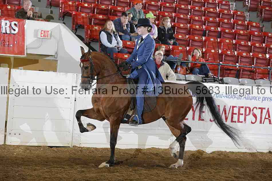 Proof 13buck_5683
