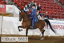 13buck_5683 proof