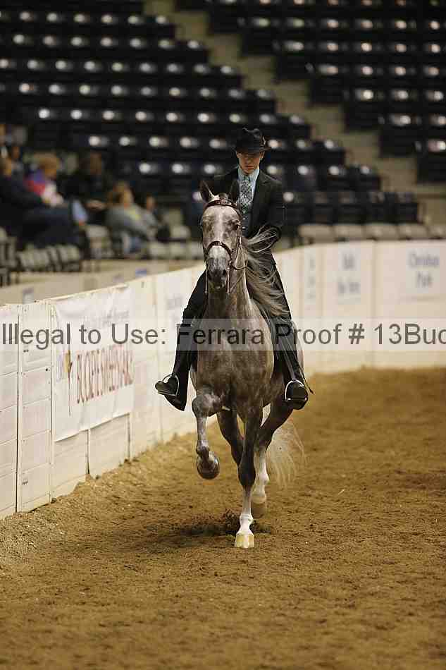 Proof 13buck_5684