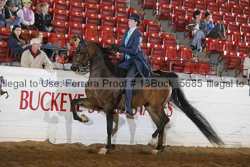 Proof 13buck_5685