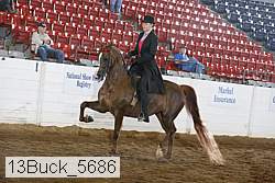 13buck_5686 proof