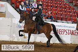 13buck_5690 proof