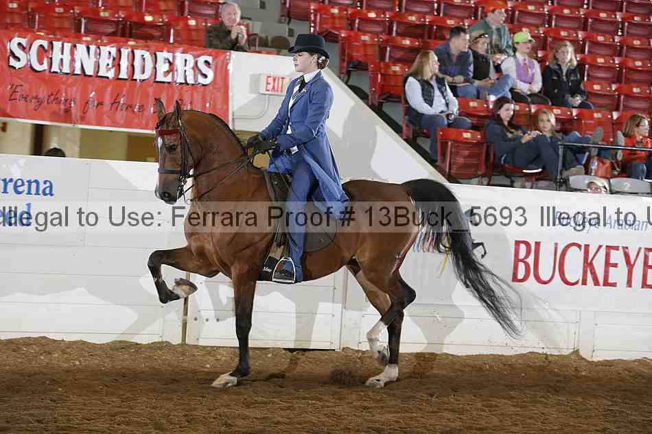 Proof 13buck_5693