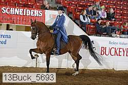 13buck_5693 proof