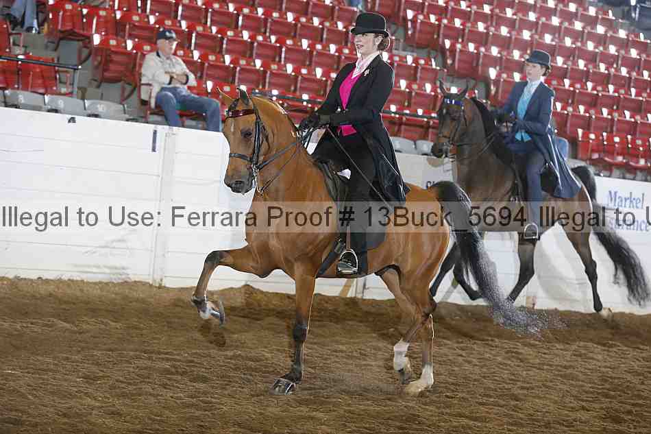 Proof 13buck_5694