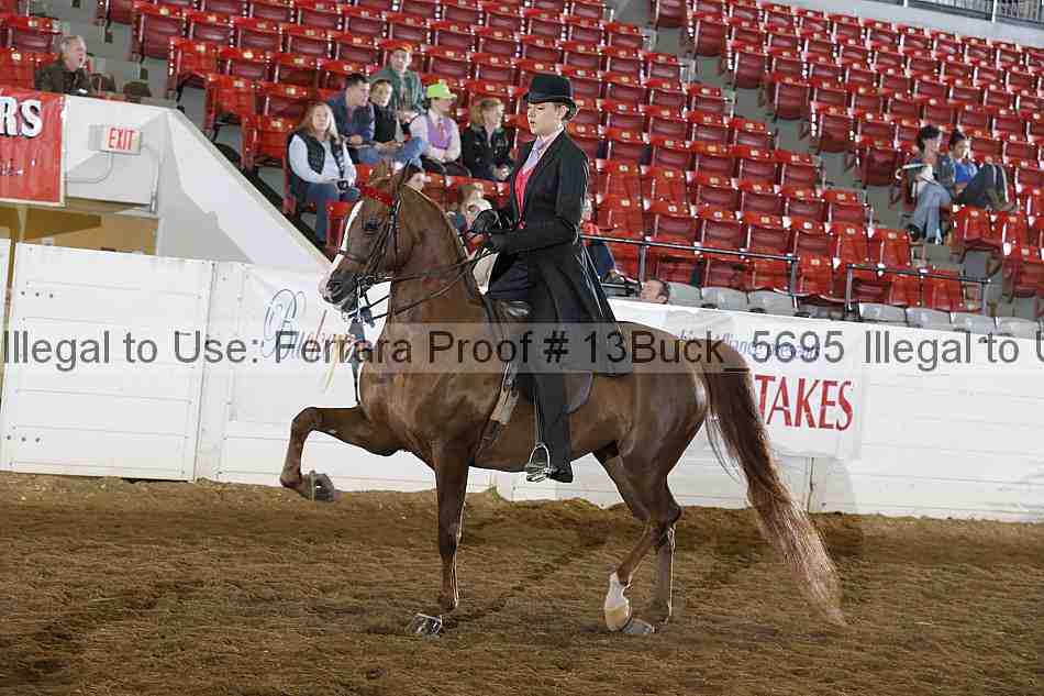 Proof 13buck_5695