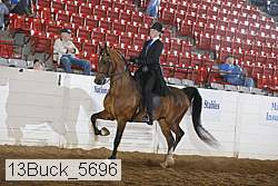 13buck_5696 proof