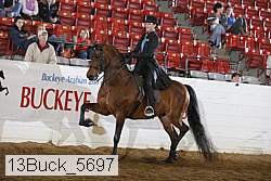 13buck_5697 proof
