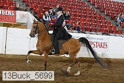 13buck_5699 proof