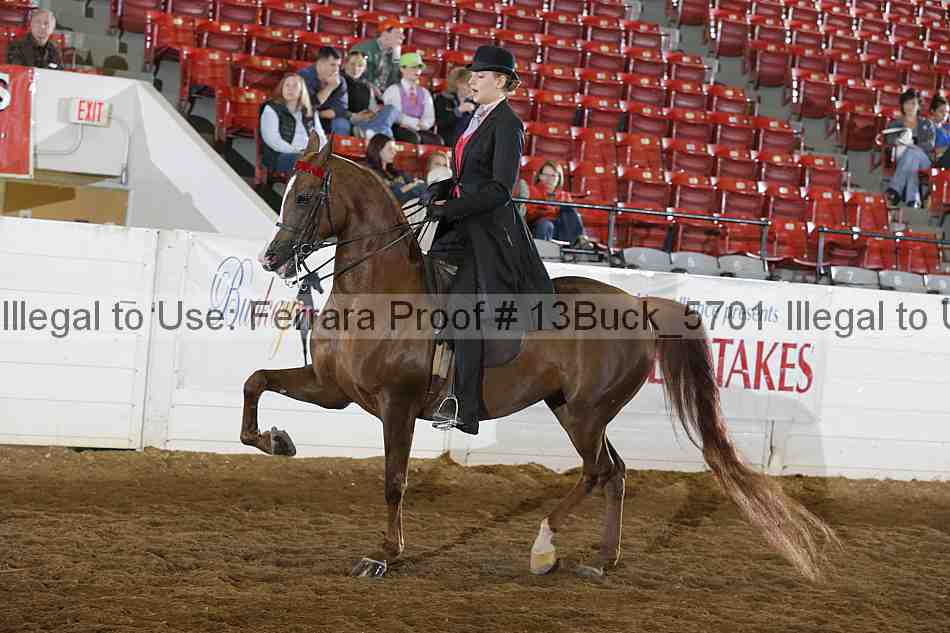 Proof 13buck_5701