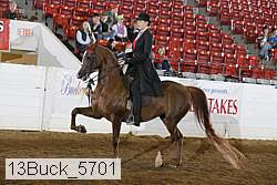 13buck_5701 proof