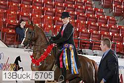 13buck_5705 proof