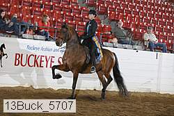 13buck_5707 proof