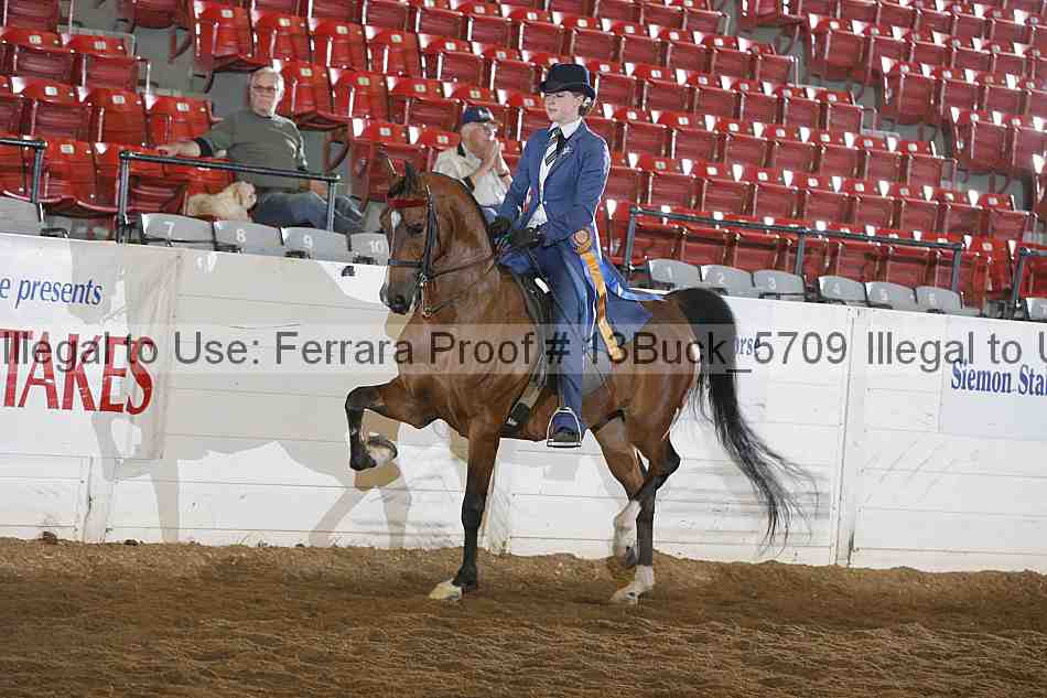 Proof 13buck_5709