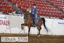 13buck_5709 proof