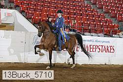 13buck_5710 proof