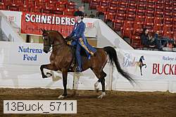 13buck_5711 proof