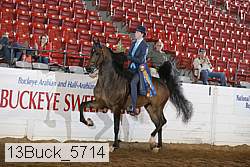 13buck_5714 proof