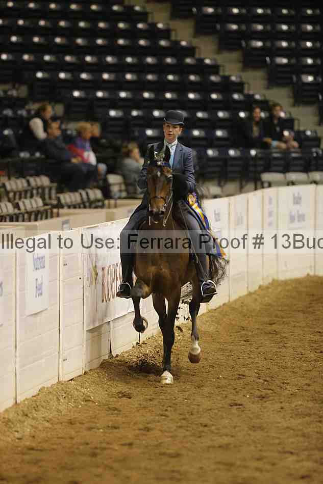 Proof 13buck_5715