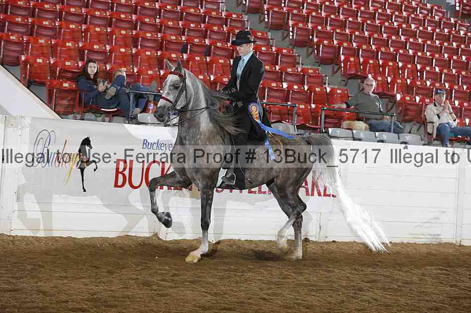 Proof 13buck_5717