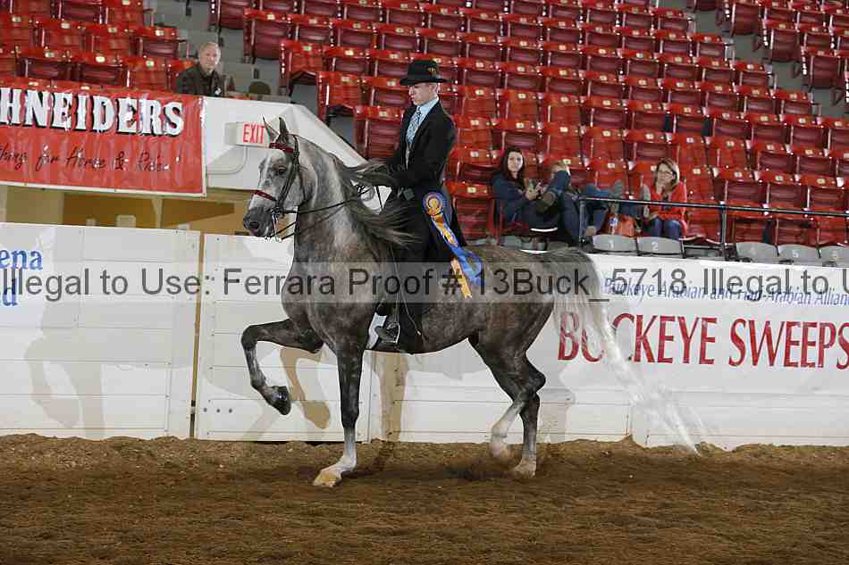 Proof 13buck_5718