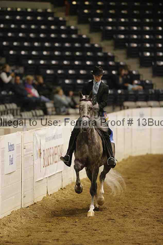 Proof 13buck_5719