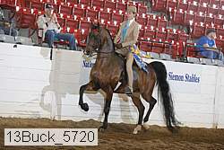 13buck_5720 proof