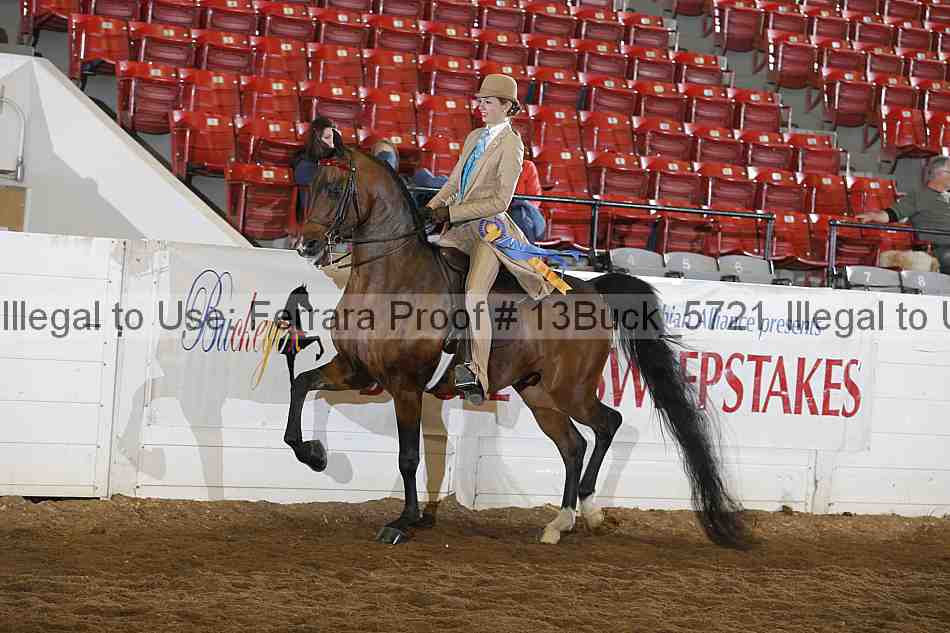 Proof 13buck_5721