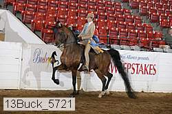 13buck_5721 proof