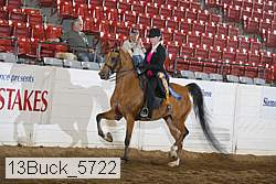 13buck_5722 proof