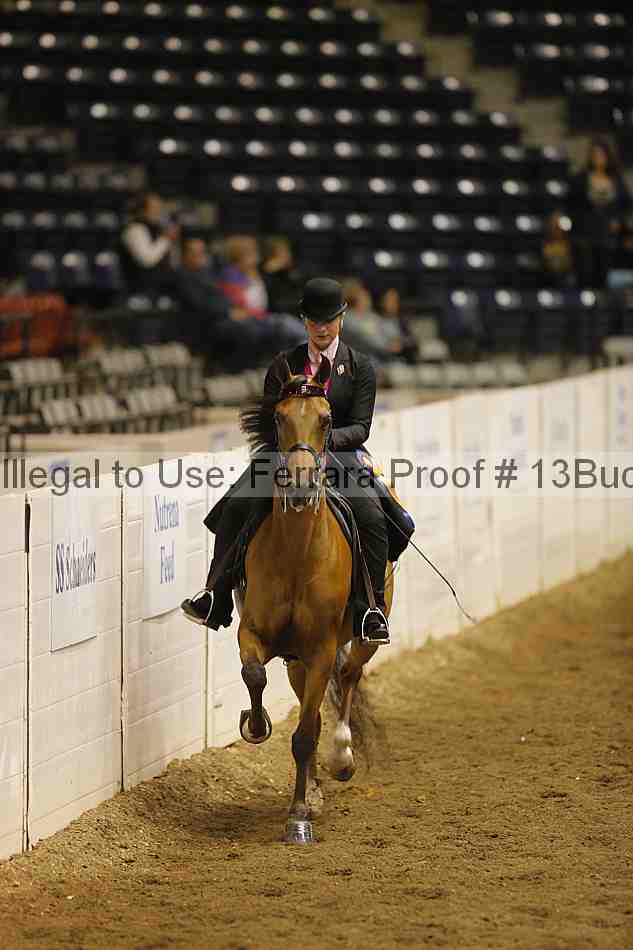 Proof 13buck_5725