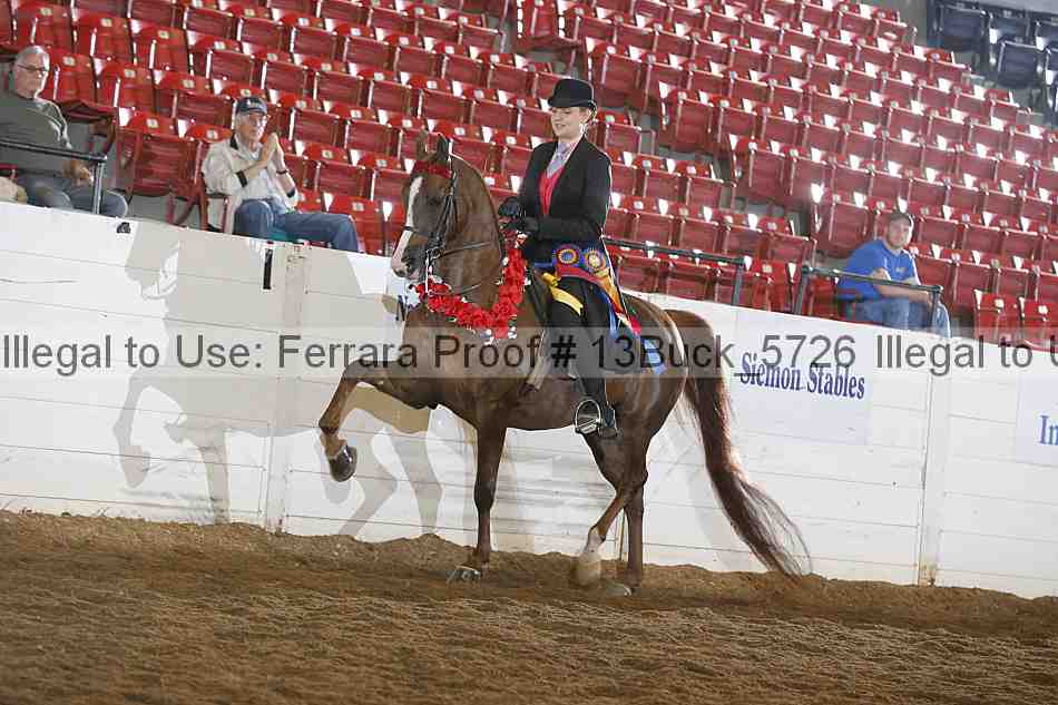 Proof 13buck_5726